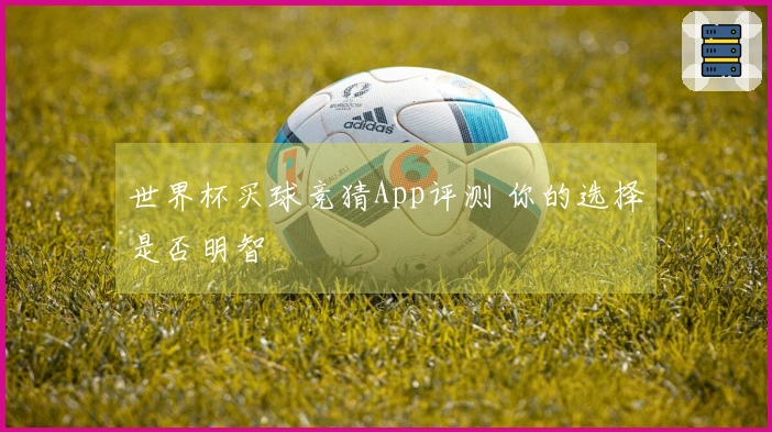 世界杯买球竞猜App评测 你的选择是否明智
