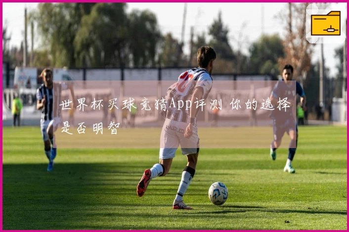 世界杯买球竞猜App评测 你的选择是否明智