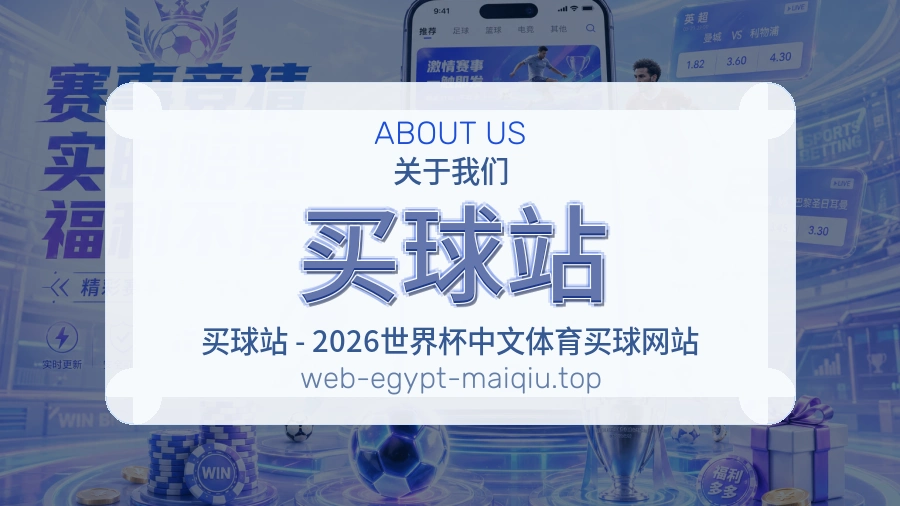 关于 买球站 团队与服务